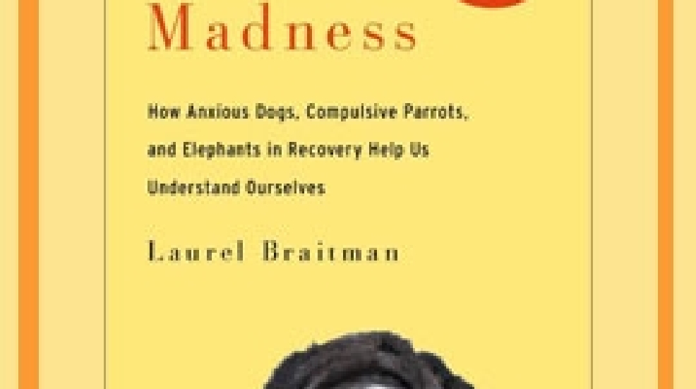 Animal-Madness.jpg