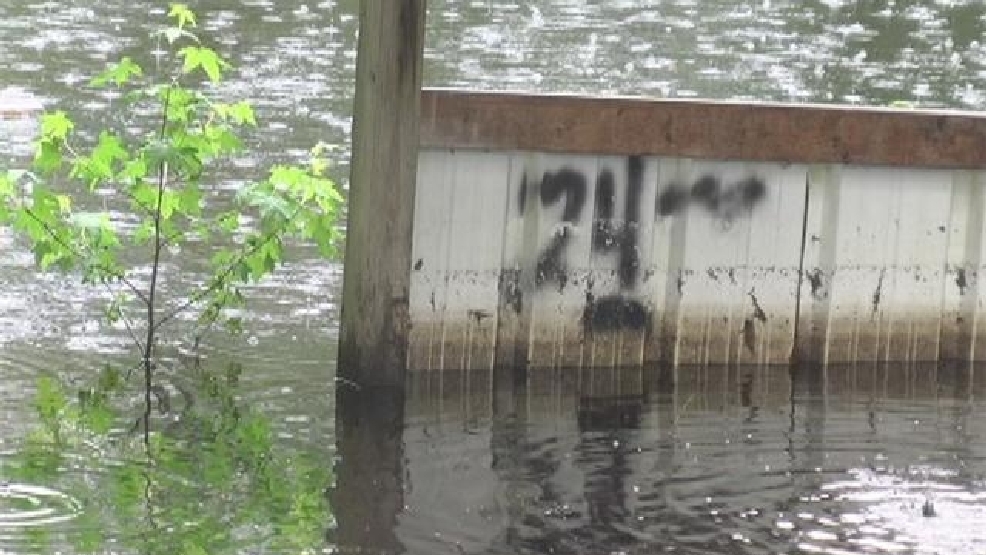 BACK%20YARD%20FLOODING.jpg