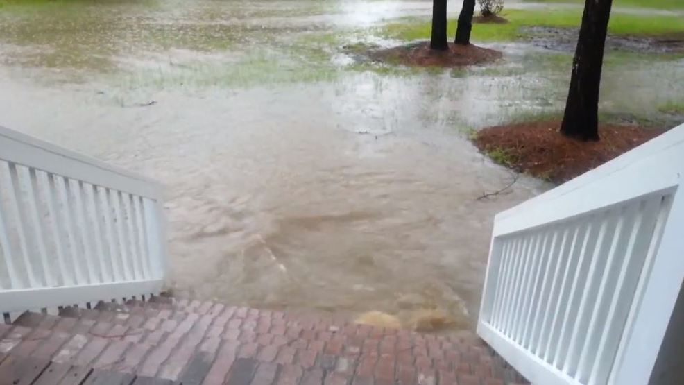 Walterboro woman claims dam redirects water, floods her property - ABC NEWS 4