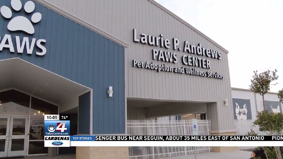 Animal shelters expect to see influx of pets following holiday season