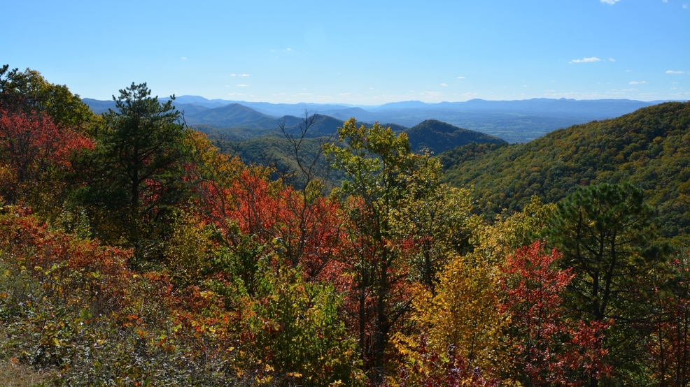 Here's when to expect fall foliage in Virginia WSET