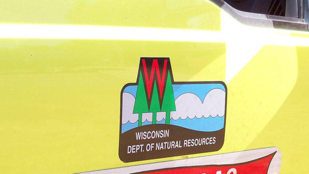 Wisconsin game warden helps cub escape basement with ladder WMSN