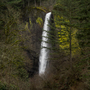 Family of man crushed by tree in Columbia River Gorge sues Oregon