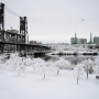 Storm was 7th-snowiest in Downtown Portland -- here's how much everyone else got...