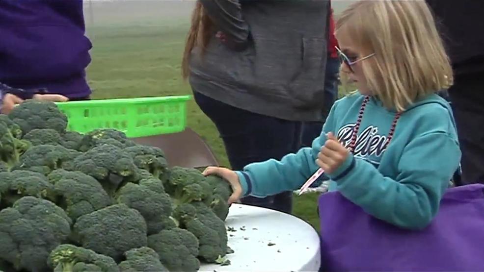 Schools in Springfield teaching students to cook with fresh fruits, vegetables