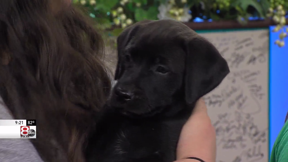 legacy of hope dog rescue