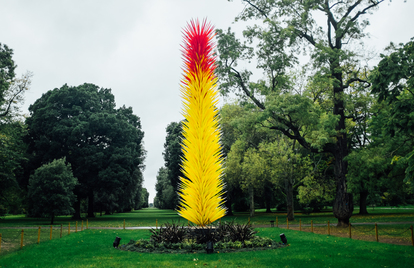 Photos Chihuly Exhibit On Display At The Royal Botanic Gardens