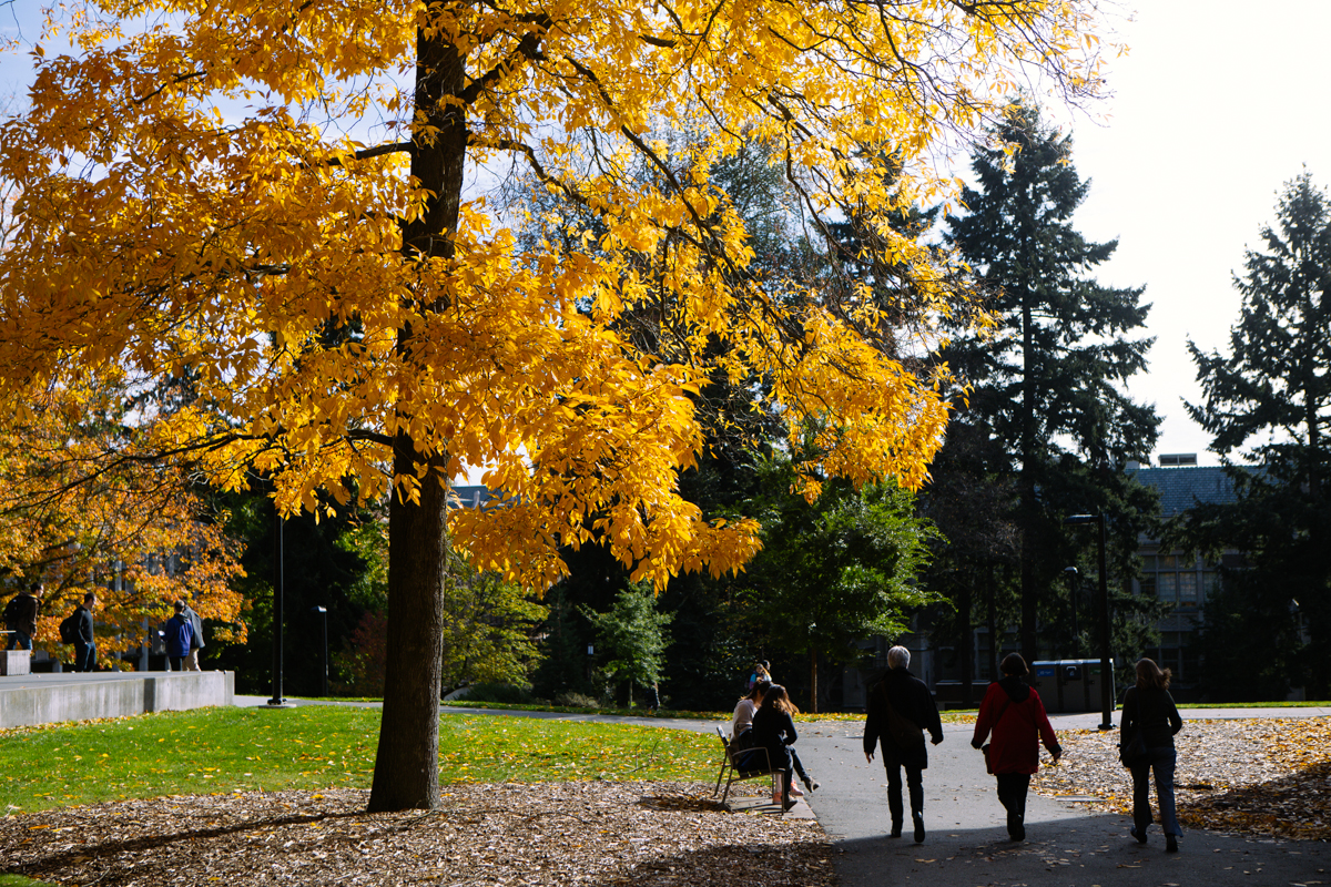 Photos Fall colors at the University of Washington Seattle Refined