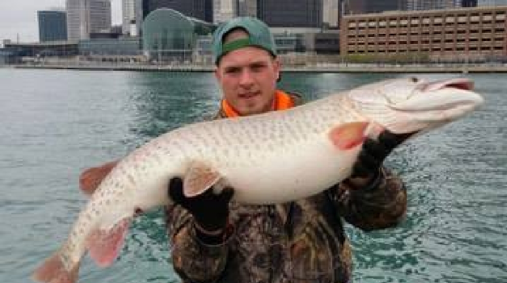 Large fish caught in Detroit River WEYI