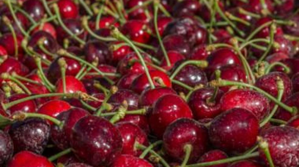 Cherry Bruschetta Recipe Cherry-Bruschetta-380x300.jpg