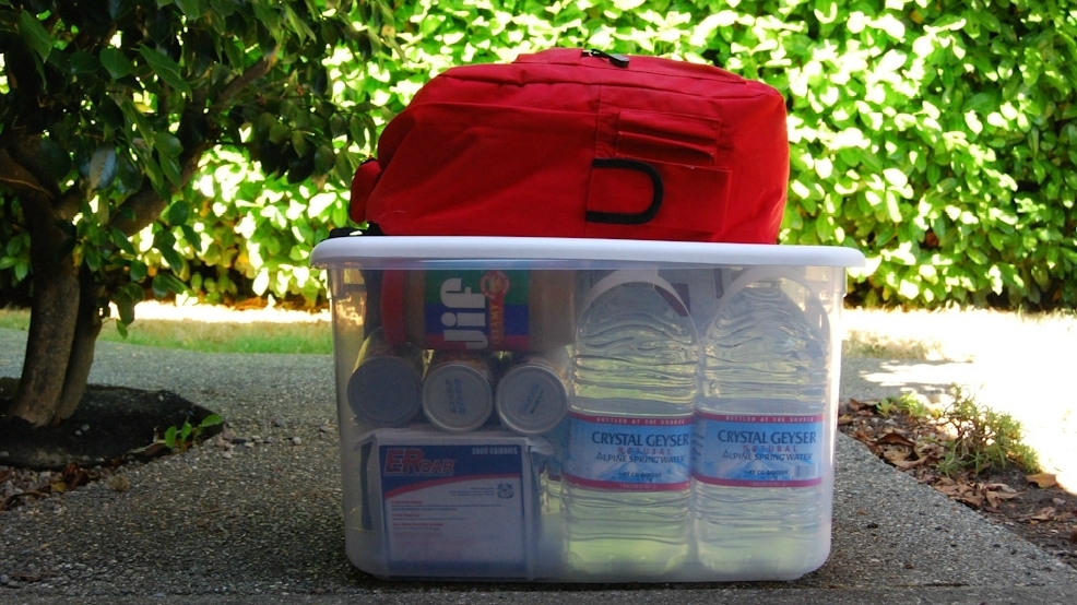 disaster survival kit