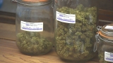 Vashon Island pot shop still operating without license