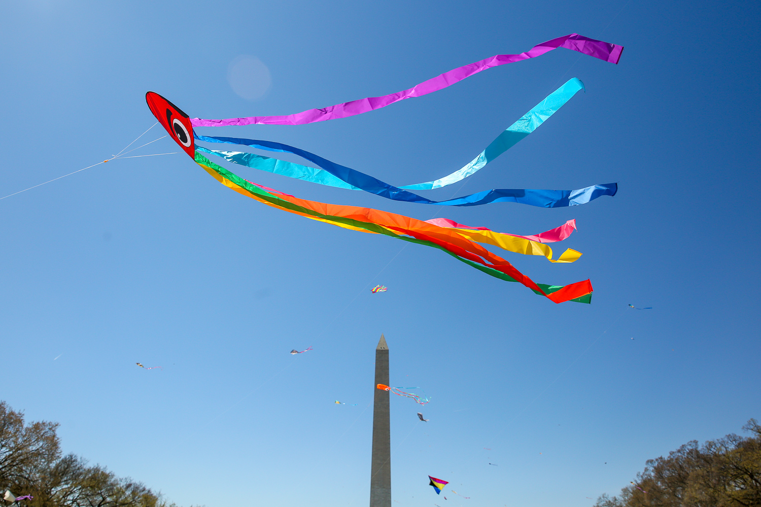 The National Mall is completely filled with kites today DC Refined