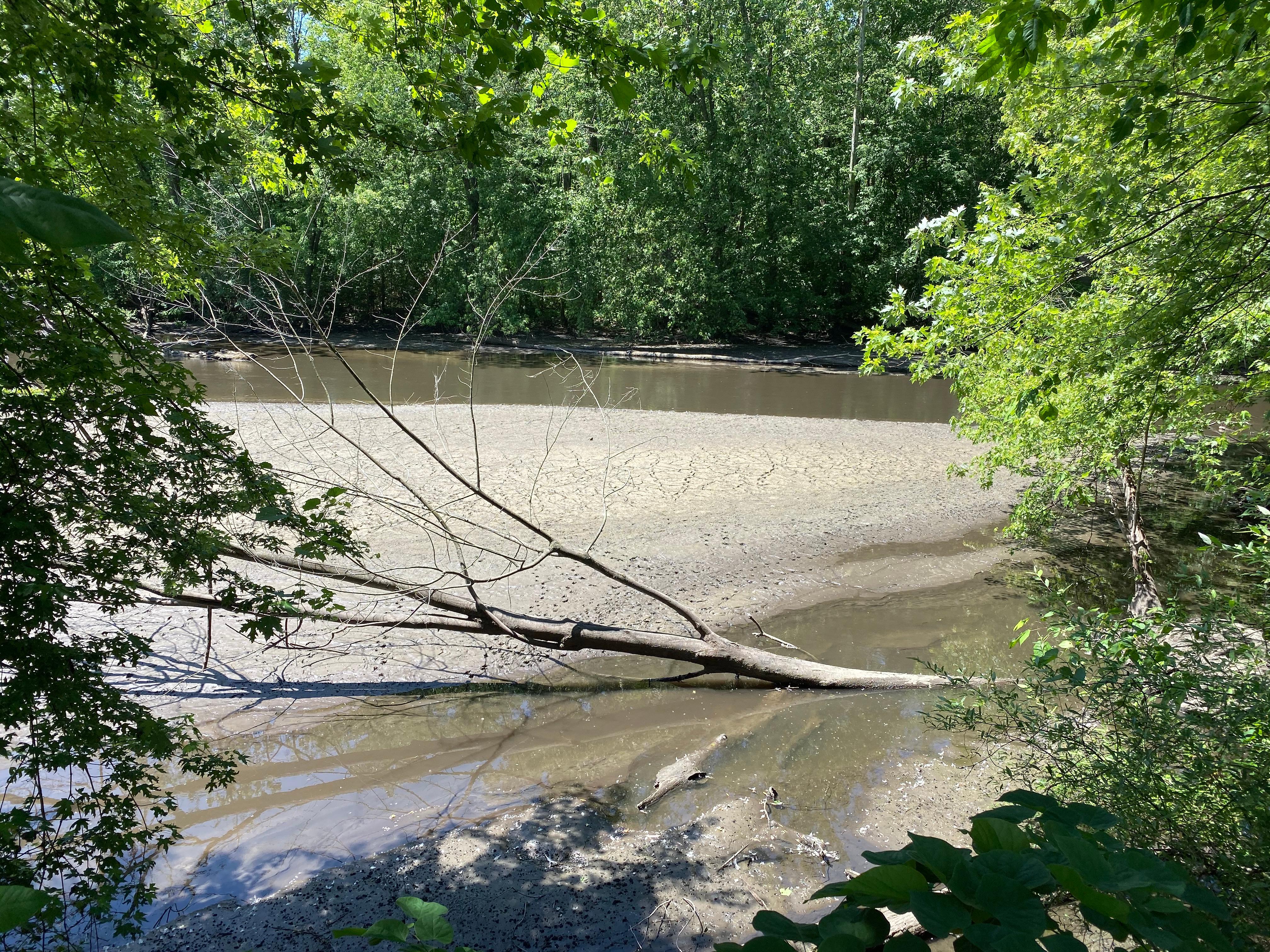 GALLERY Murky Waters On The Kalamazoo River Bad News For Fishing WWMTCW