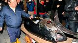 Giant 600 pound tuna sells for record $3 million at Tokyo auction
