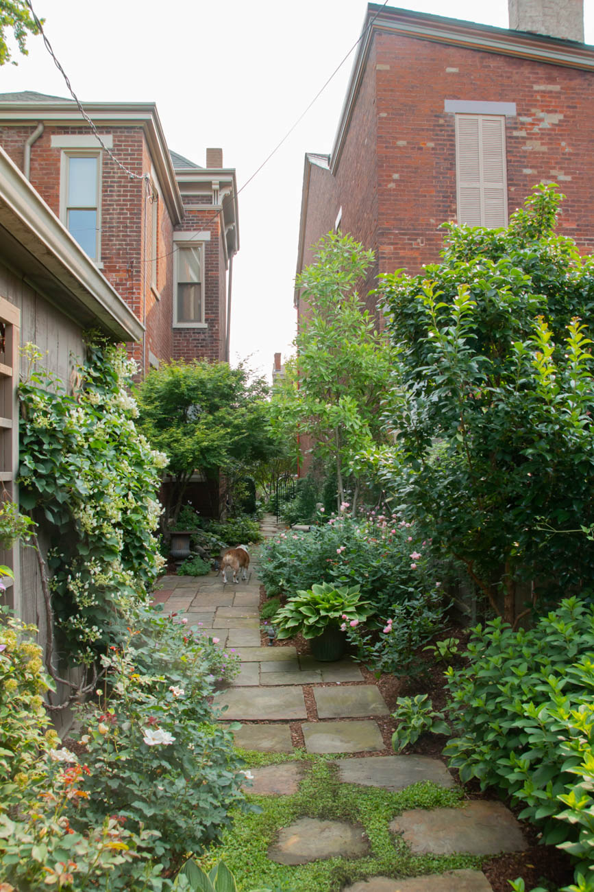 Everything Was Rosy at the 2019 Newport Garden Walk Cincinnati Refined