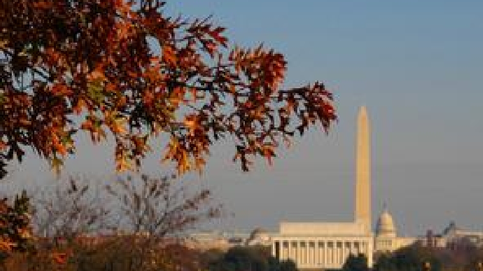 leaves__mall(1)_296.jpg