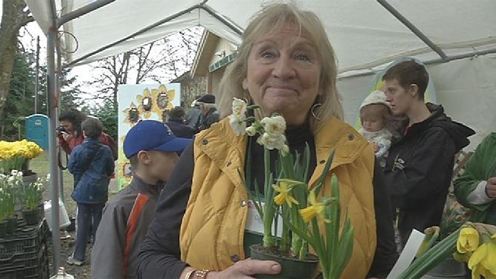 Daffodil Drive Festival fills Junction City with flower fans KVAL
