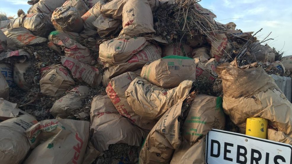 Yard waste collection extended in Champaign WRSP