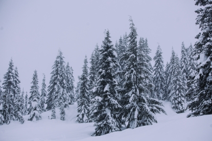 Noaa Sinks La Nina Forecast Should Skiers Be Worried Kboi