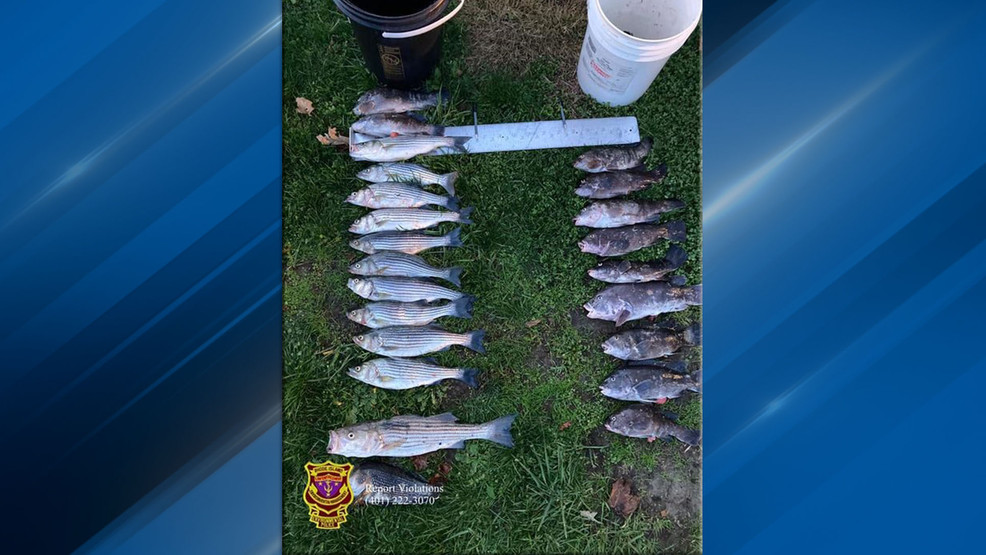 RI DEM catches 2 men trying to poach fish in Newport | WJAR